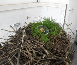 The Ancestor is Coming